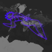 figura globale di Signa, Signaworld con mappa
