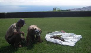 istall. SIGNA Madeira Giardino Botanico